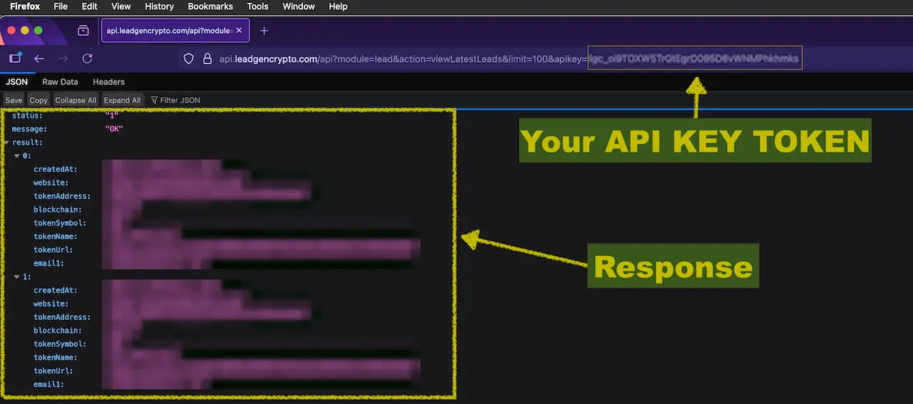 Browser window showing a viewLatestLeads URL with an API key token and a JSON response body.