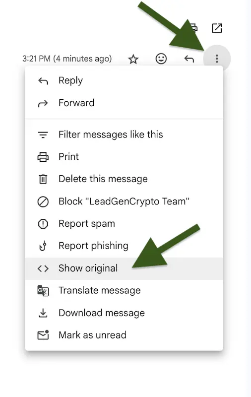 Click ‘Show Original’ to check SPF, DKIM, and DMARC status Example of clicking on the show original element inside the incoming email.