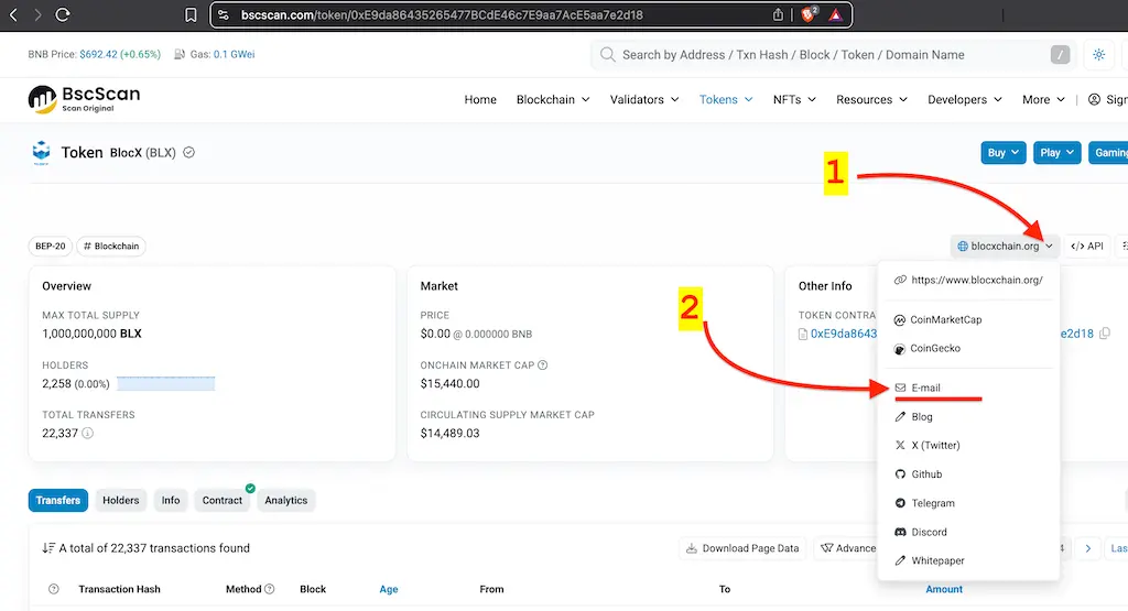 Screenshot of a BscScan token page with the Social Profiles dropdown highlighted, revealing the project’s official email address.